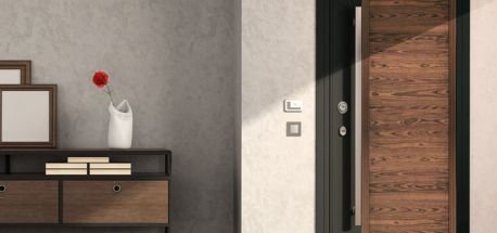 Door Skin